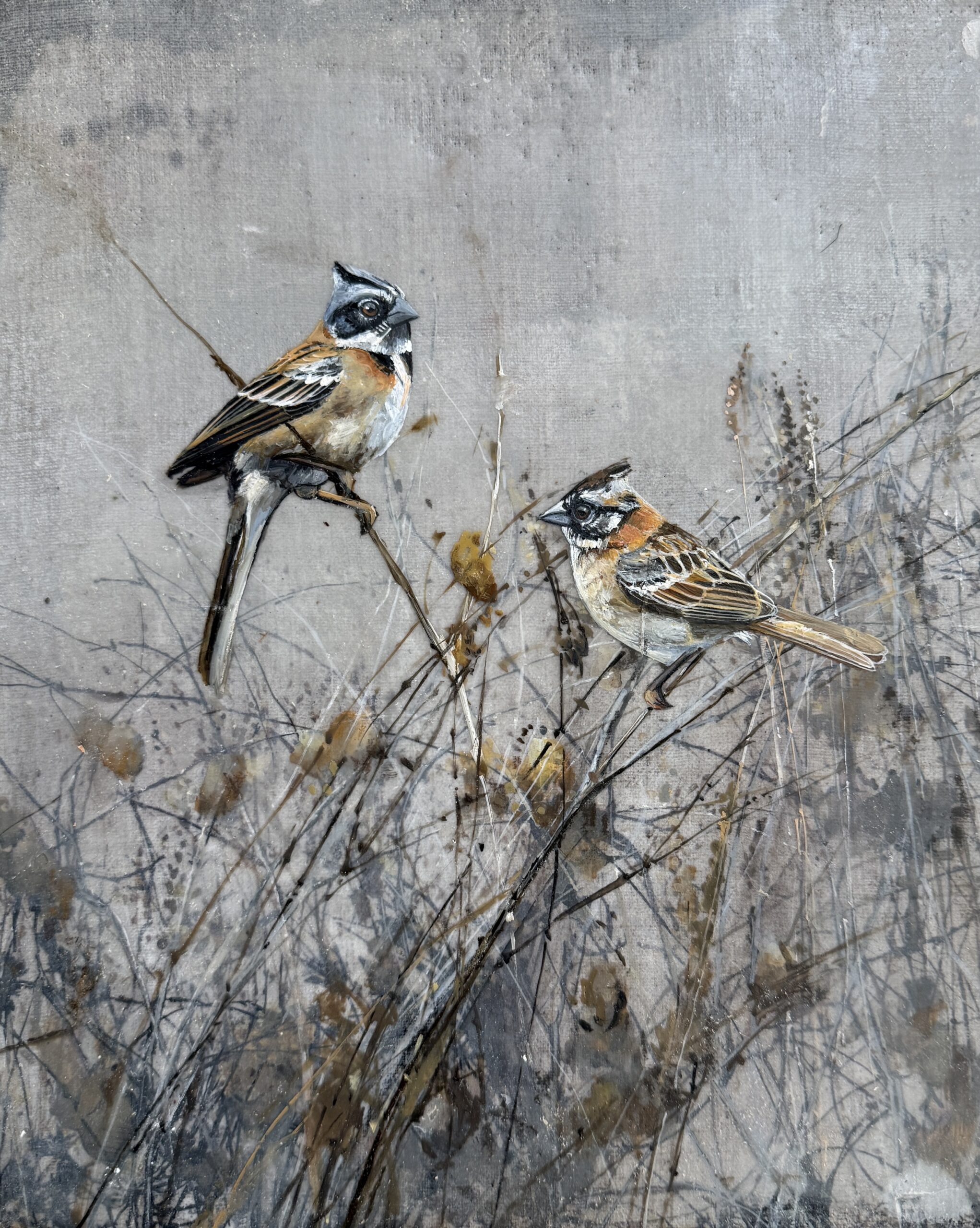 pair of sparrows on linen