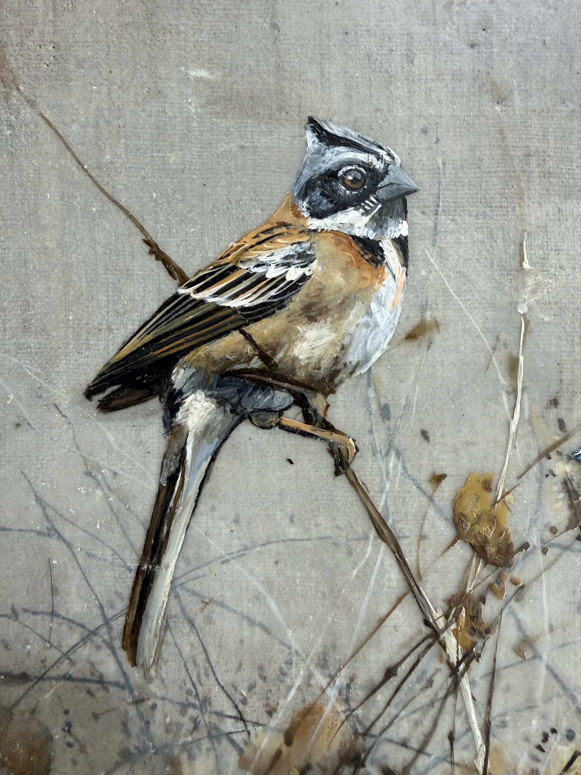 pair of sparrows on linen