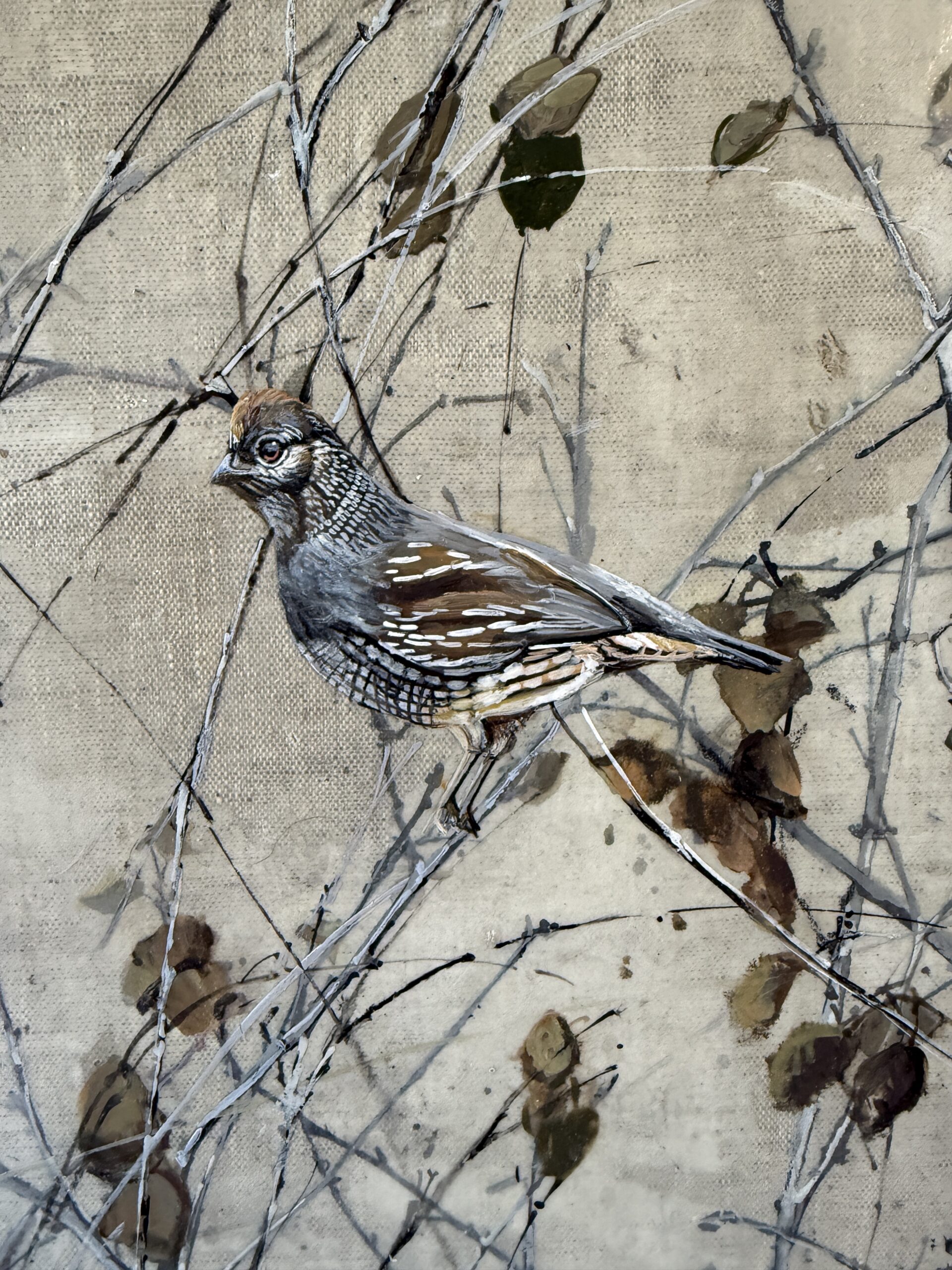 quail in the branches