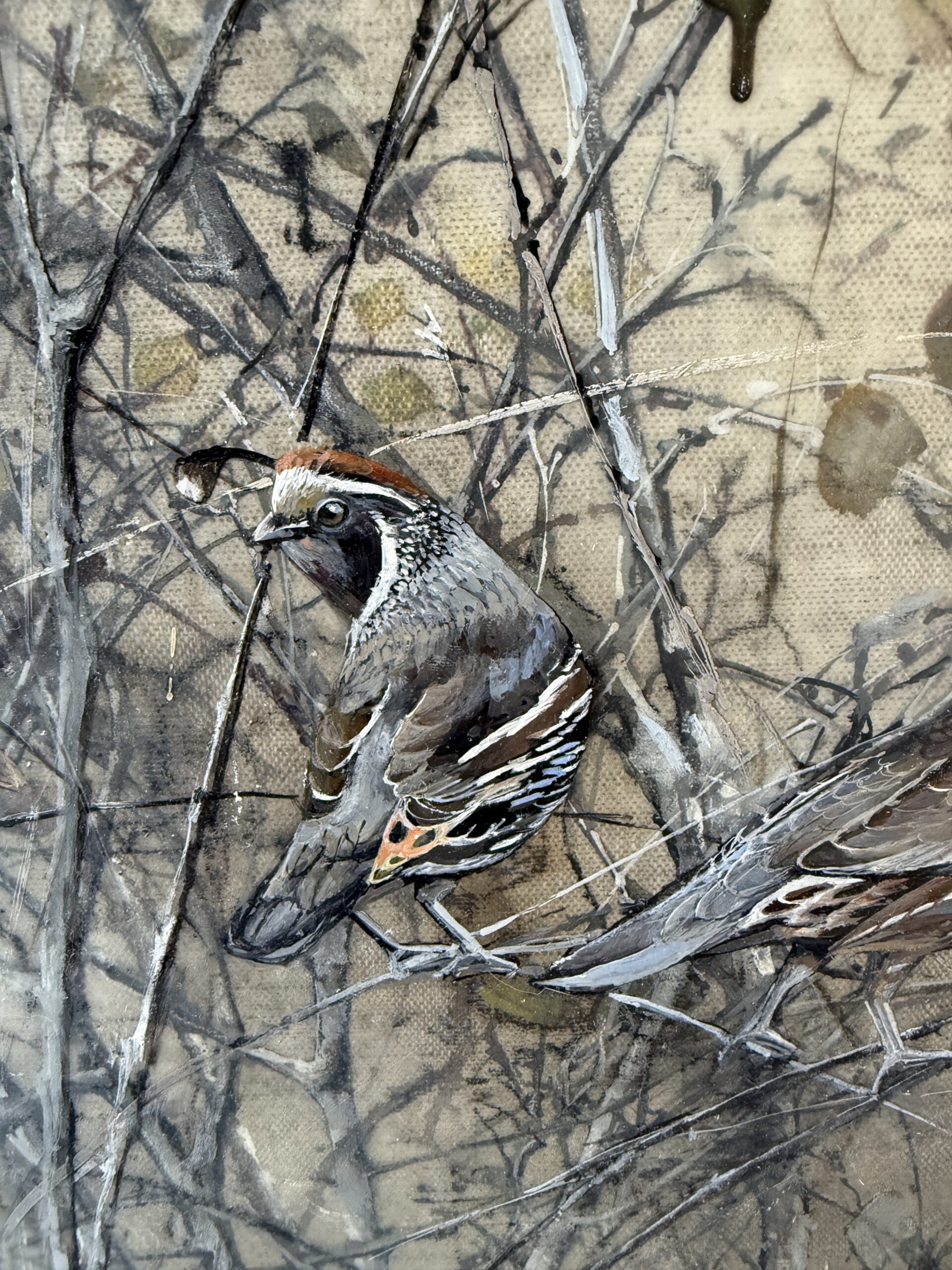 quail in the branches