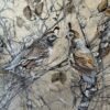 quail in the branches