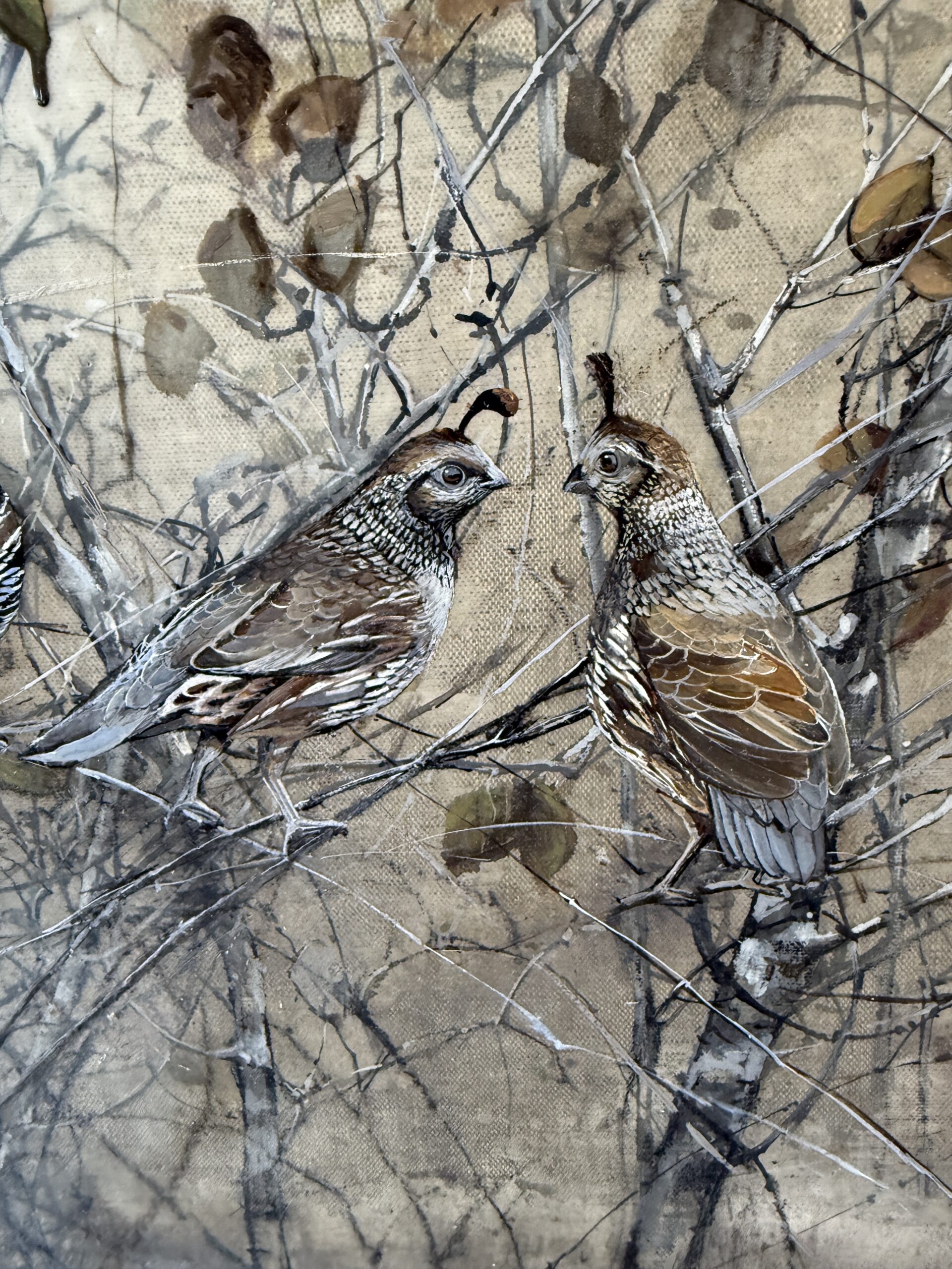 quail in the branches