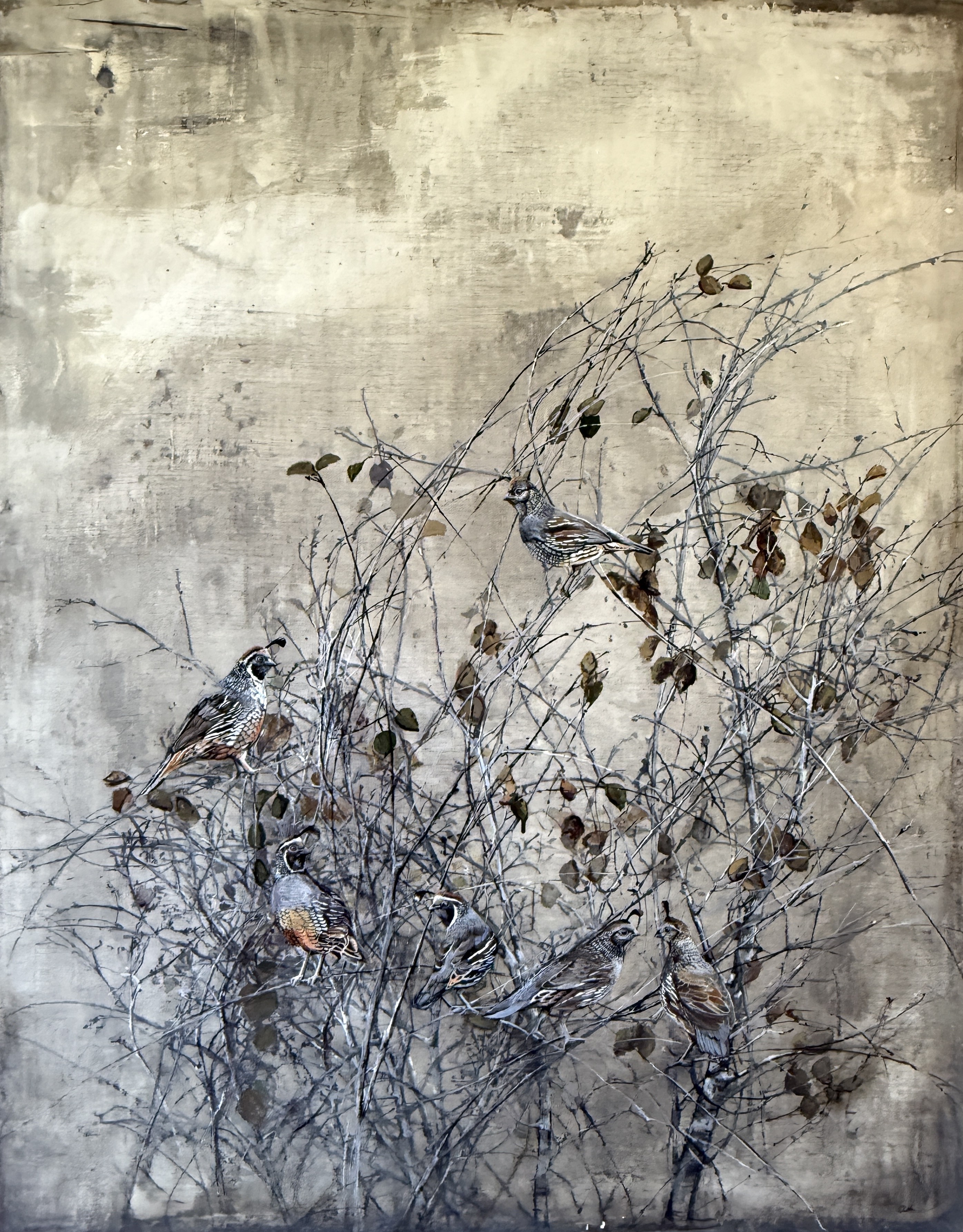 quail in the branches