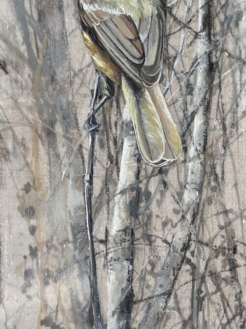 titmouse in the branches