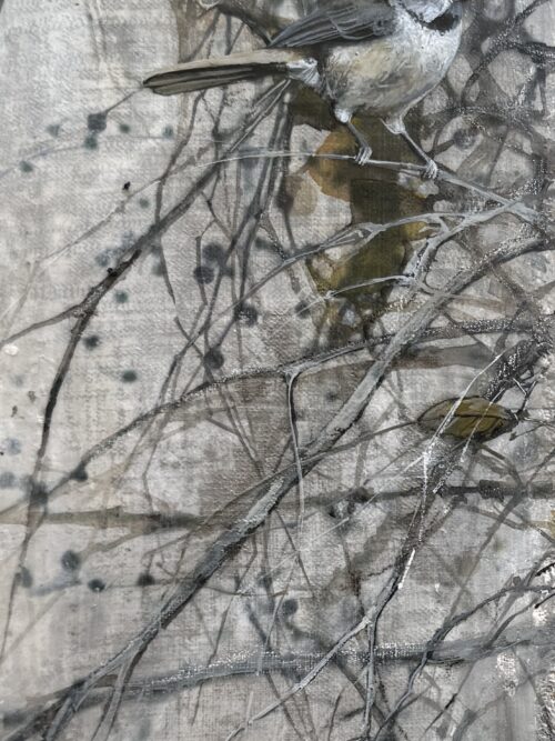 winter berries i