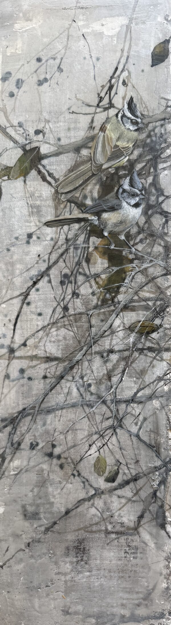 winter berries i