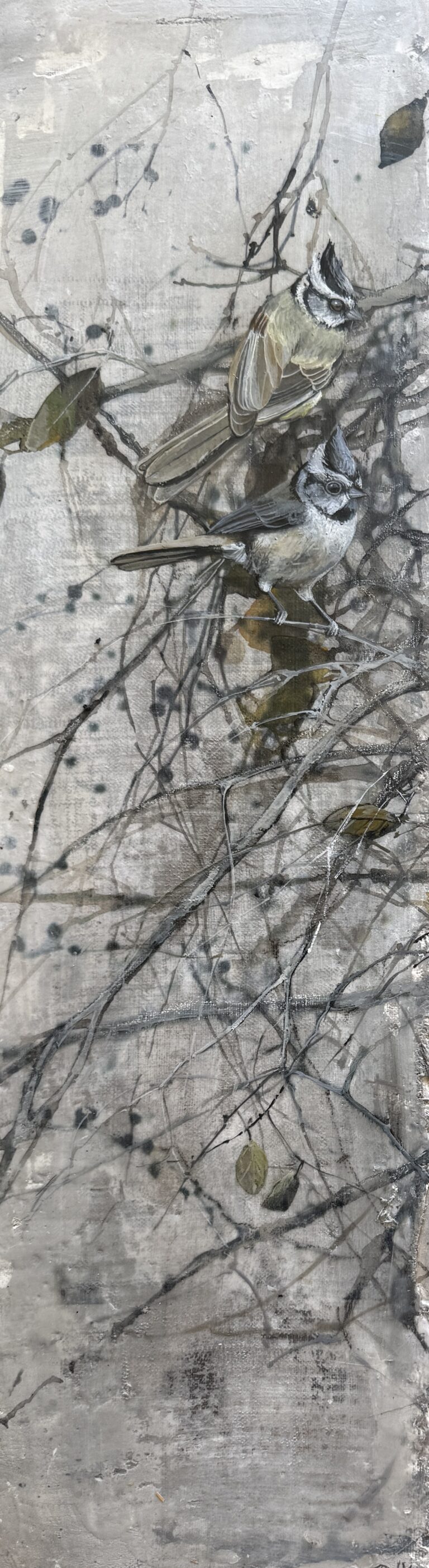 winter berries i