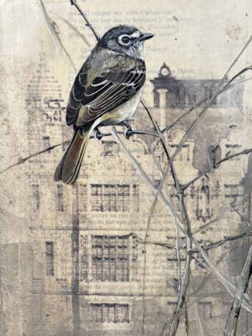 vintage drawing I
