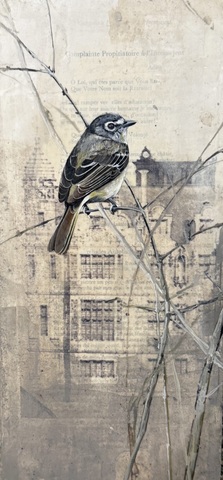 vintage drawing I