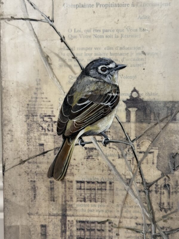 vintage drawing I