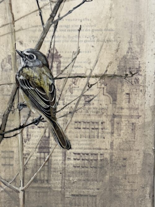 vintage drawing II