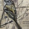 vintage drawing II
