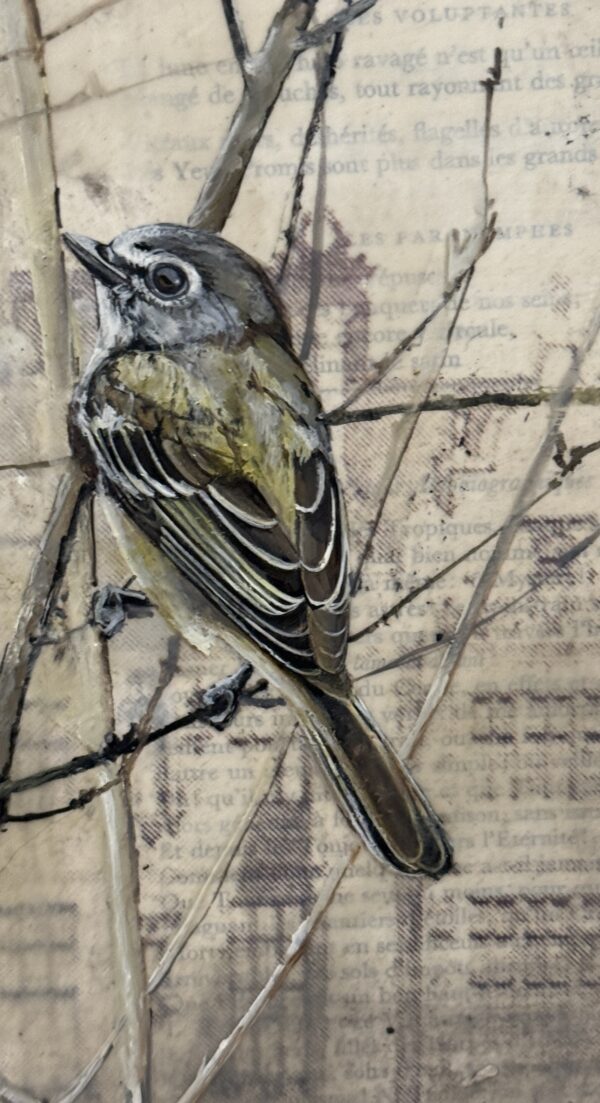 vintage drawing II