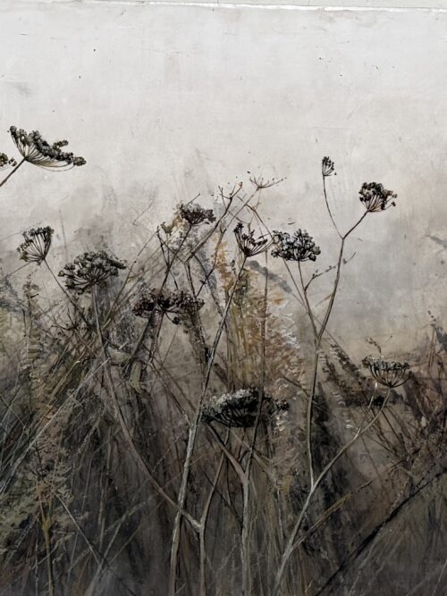 Late summer field