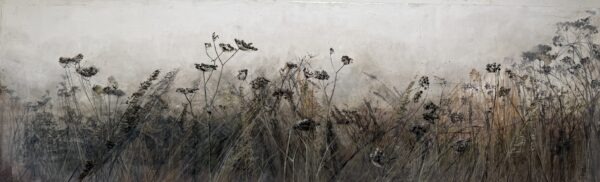 Late summer field