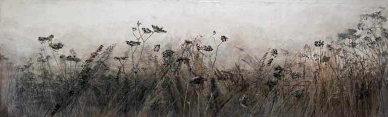 Late summer field