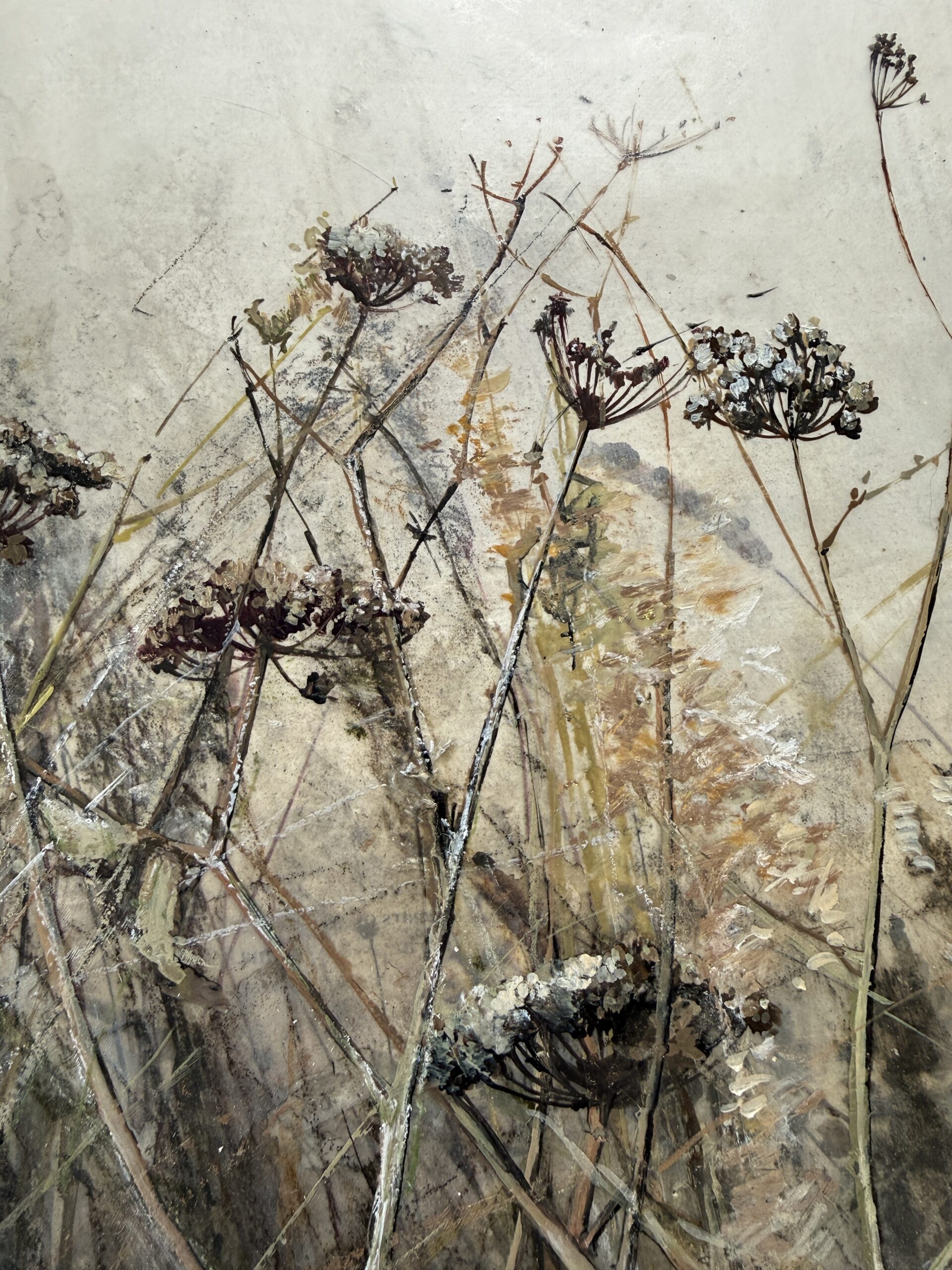 Late summer field