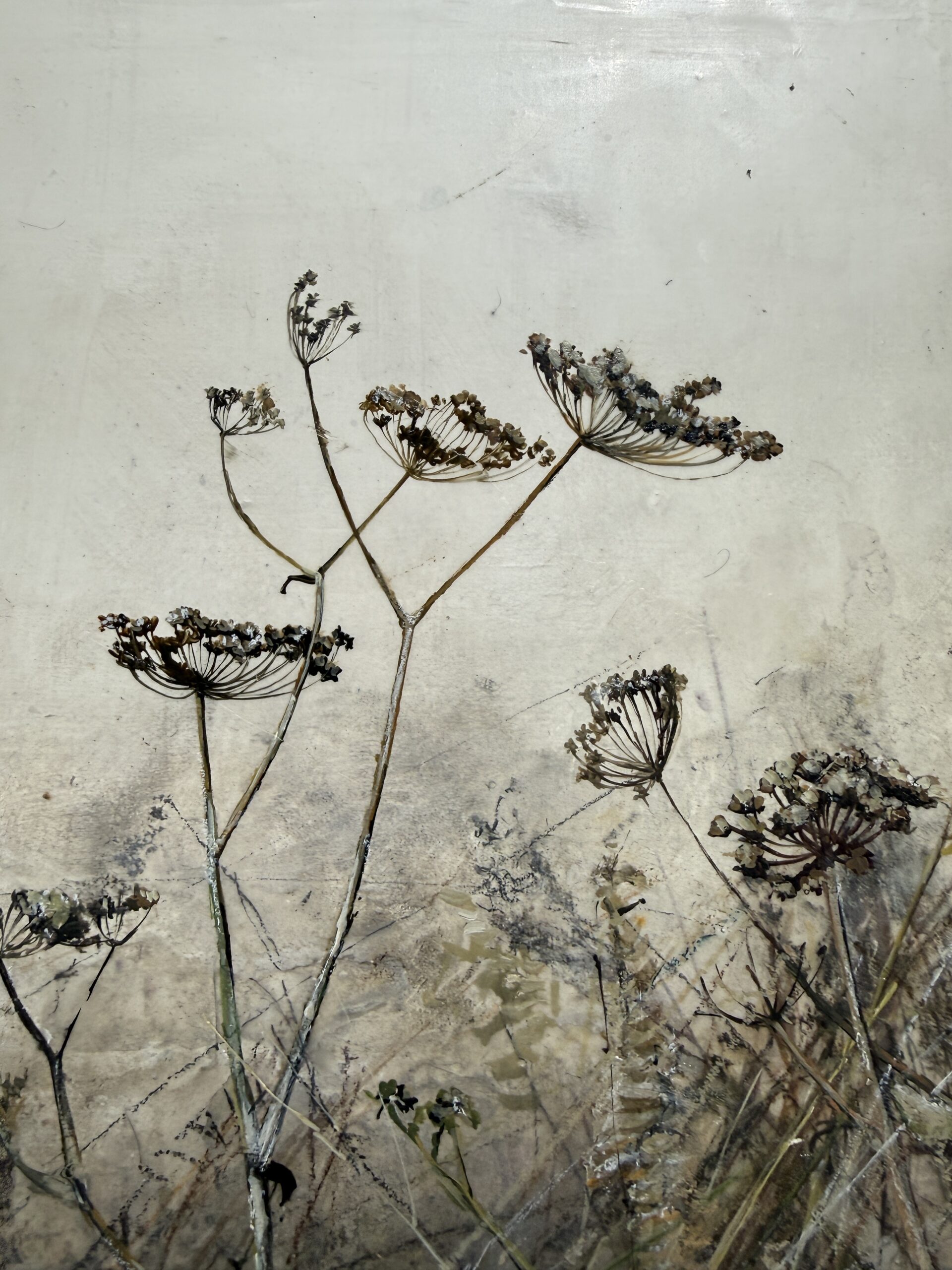 Late summer field