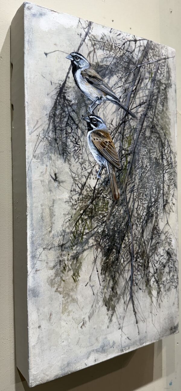 thicket harmony