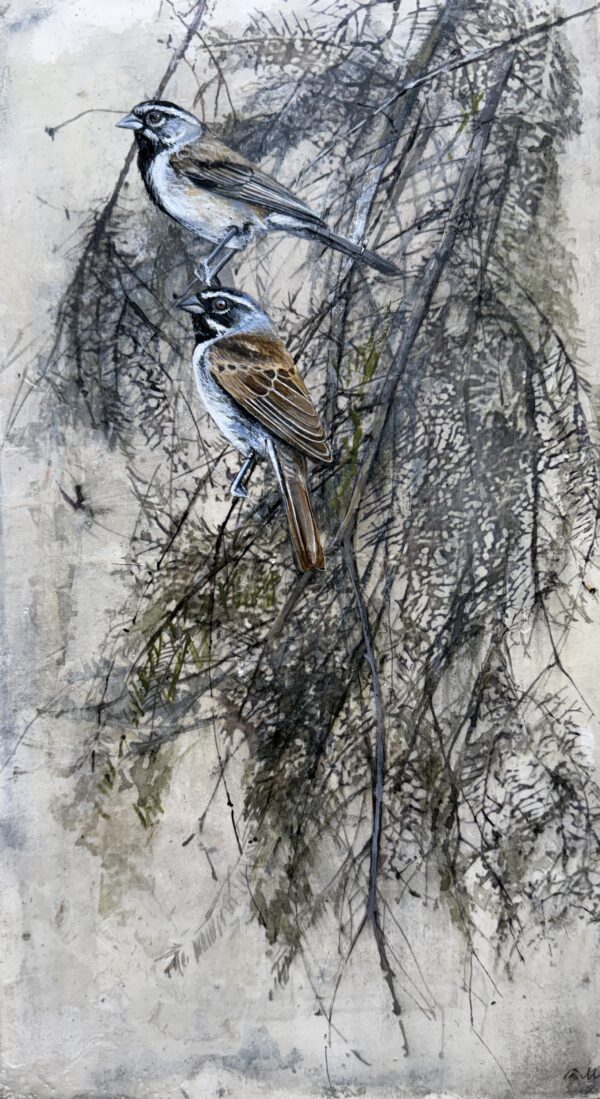 thicket harmony