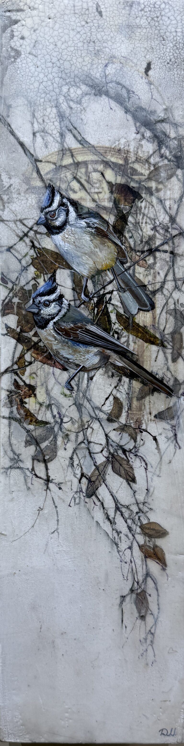 crackled canopy